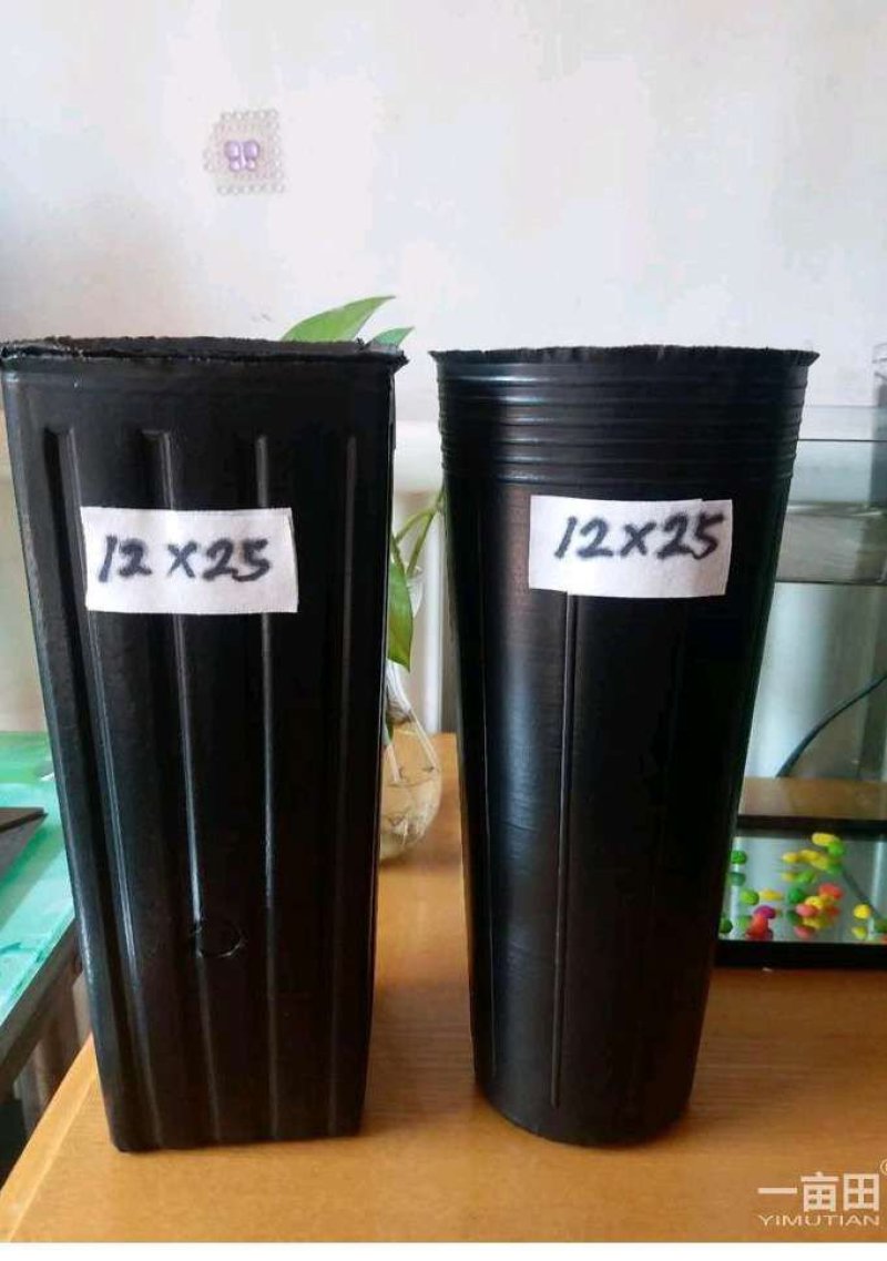 育苗袋营养杯方杯16x32包邮到家！