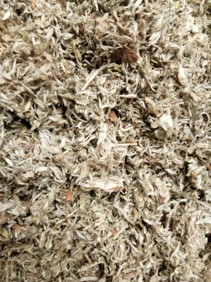 茵陈绵茵陈三月茵陈干货干净无杂一公斤起