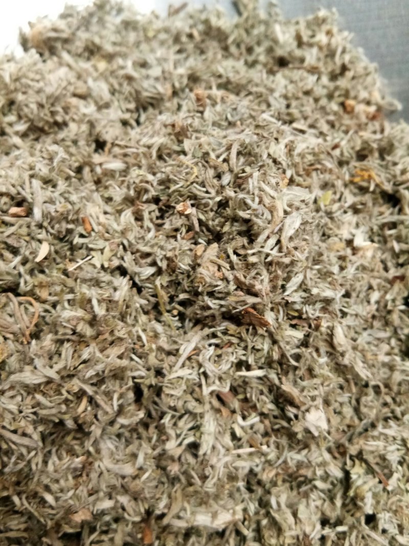茵陈绵茵陈三月茵陈干货干净无杂一公斤起