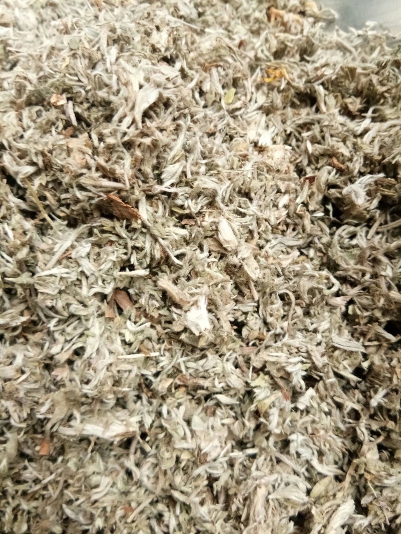 茵陈绵茵陈三月茵陈干货干净无杂一公斤起