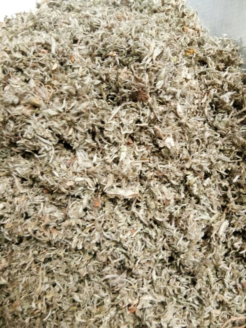 茵陈绵茵陈三月茵陈干货干净无杂一公斤起