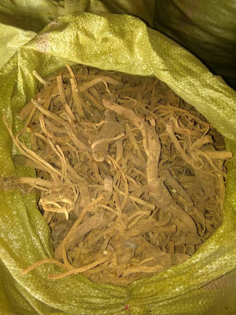 防风