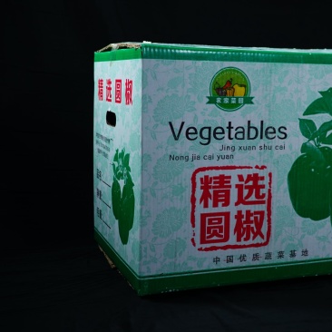纸箱