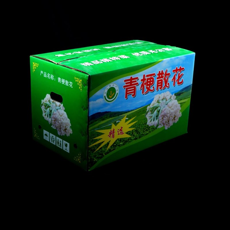 纸箱
