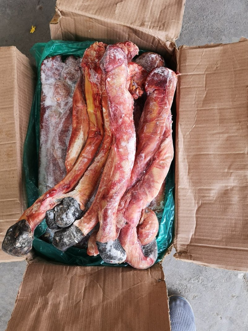 驴肉