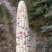 玉米甜玉米糯玉米基地发货