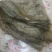 黑豆豆皮