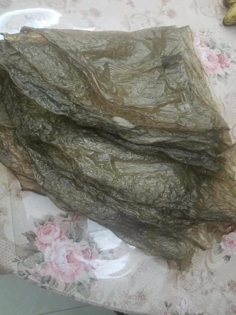 黑豆豆皮