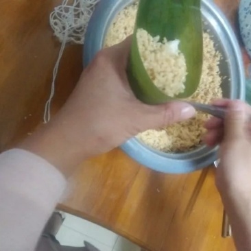 粽子