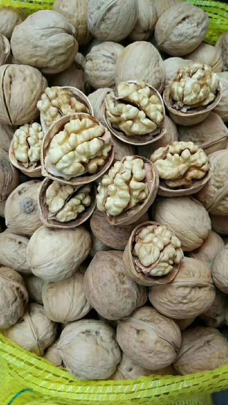 新疆阿克苏温宿县185纸皮核桃