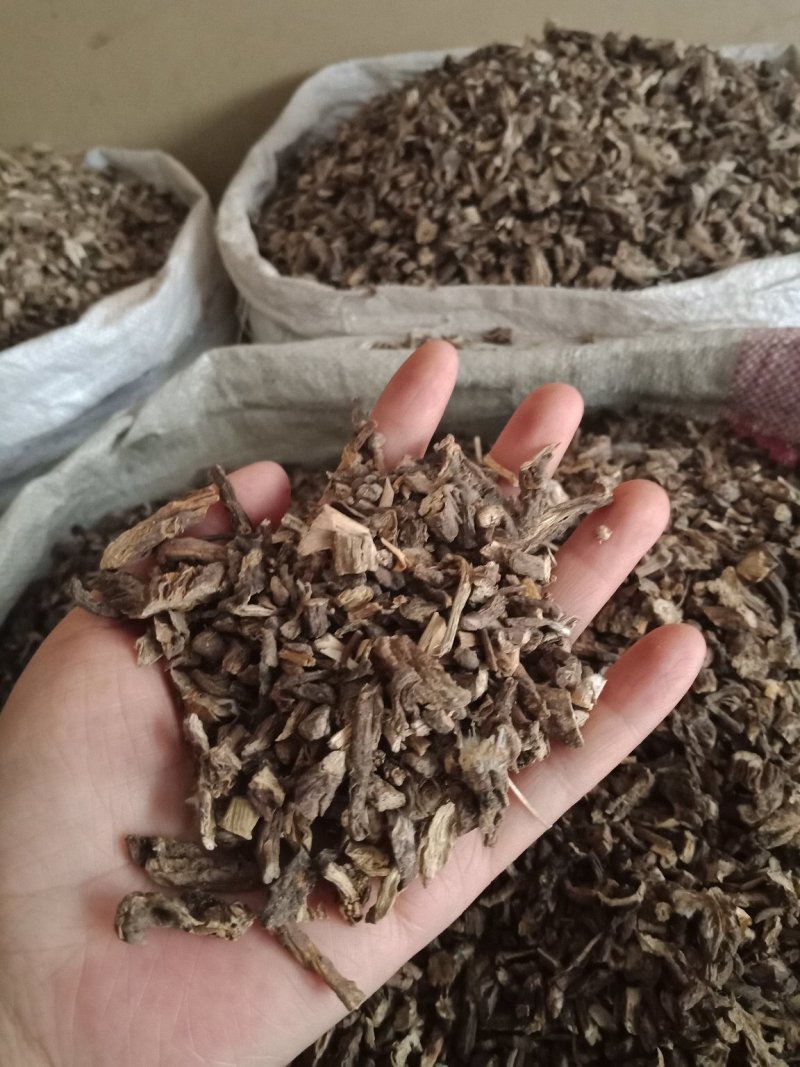白头翁东北中药材白头草奈何草野丈人