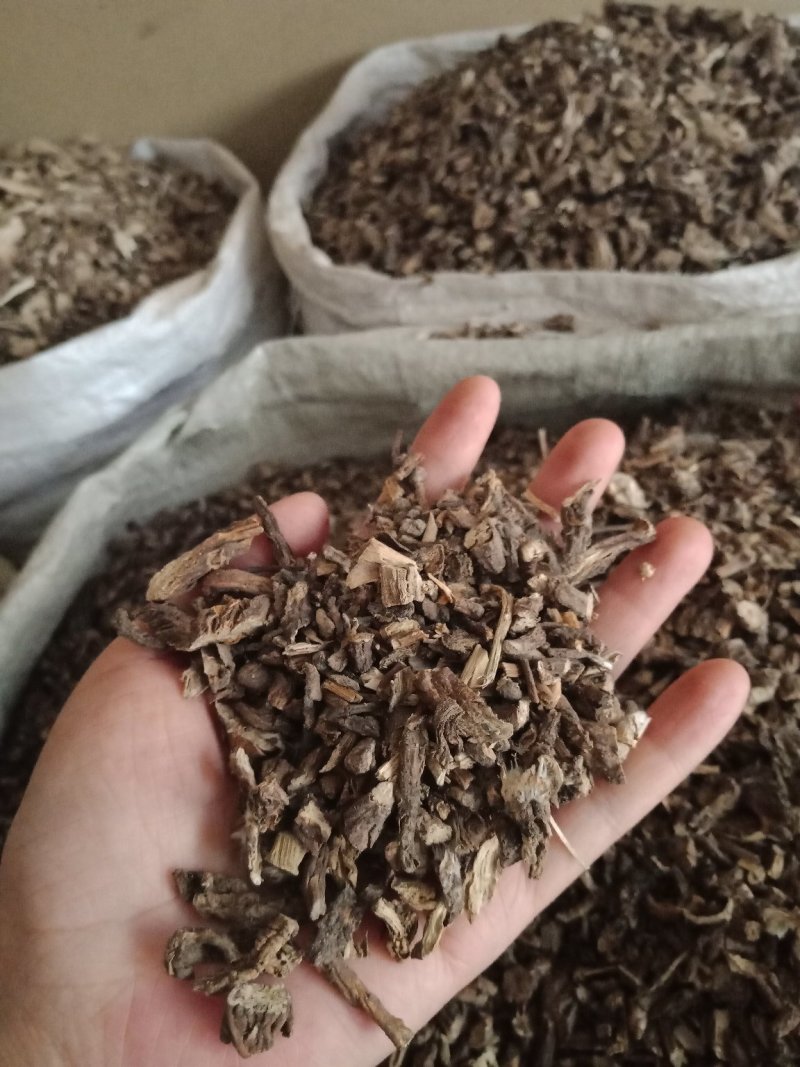 白头翁东北中药材白头草奈何草野丈人