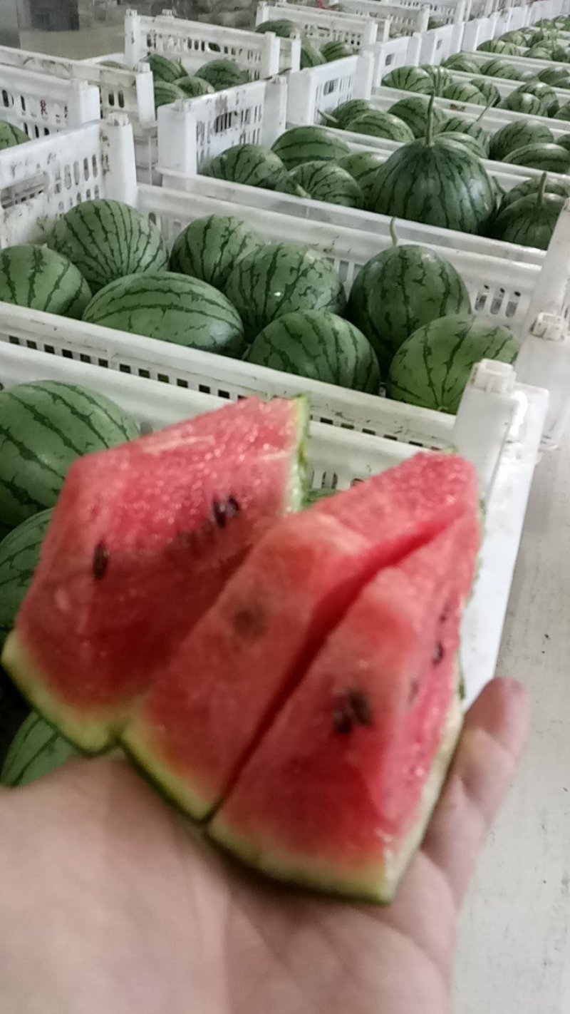 西瓜