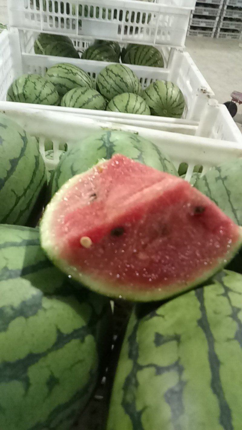 西瓜