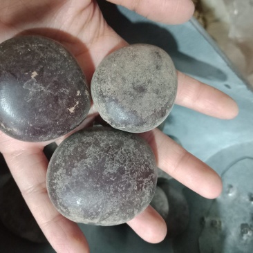 过江龙子批发零售各种规格中药材