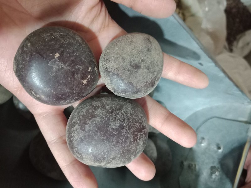 过江龙子批发零售各种规格中药材