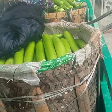 瓠瓜