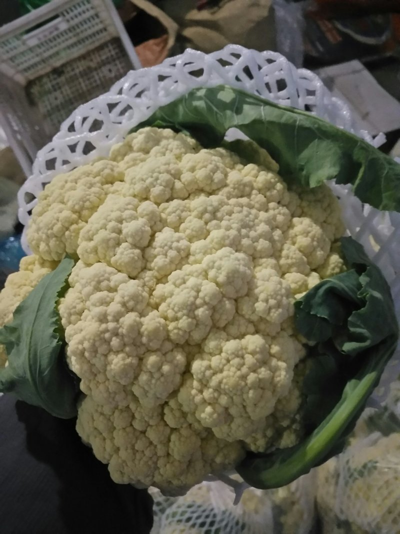 有机花