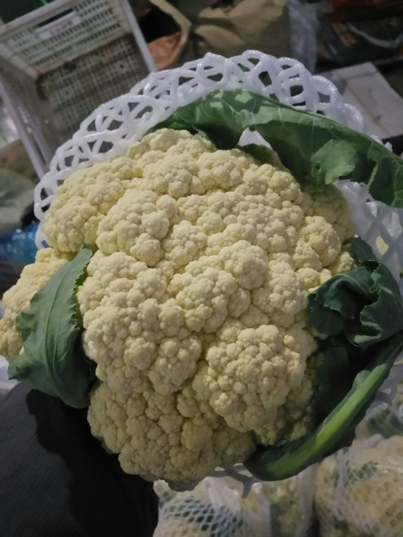 有机花