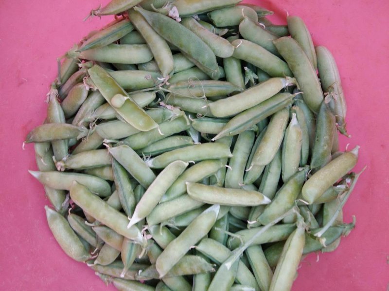 豌豆角