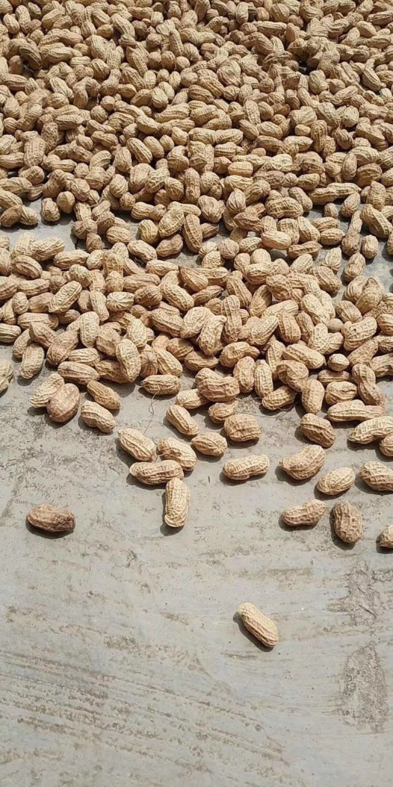 自家鲜榨花生油绝无添加
