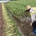 自家鲜榨花生油绝无添加