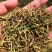 山银花绿化选货2斤起包邮量大从优