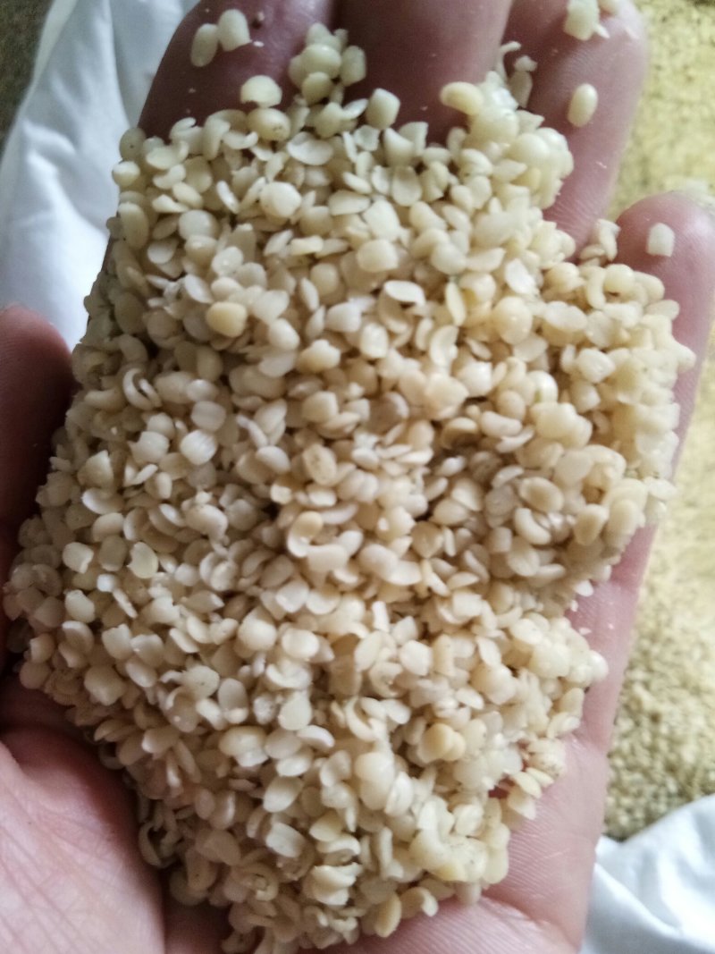 火麻仁广西精选去壳火麻仁食用级别火麻粥