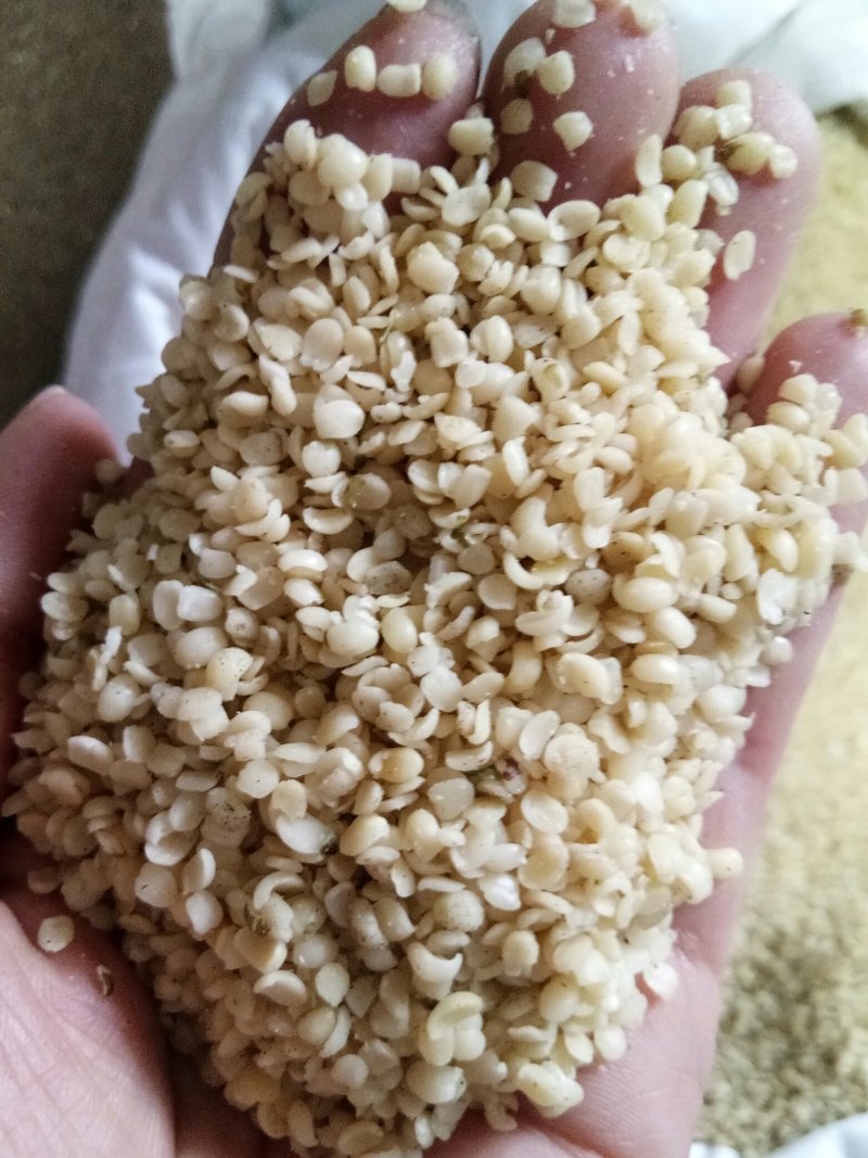 火麻仁广西精选去壳火麻仁食用级别火麻粥