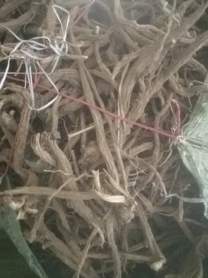 川续断
