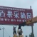 火龙果苗