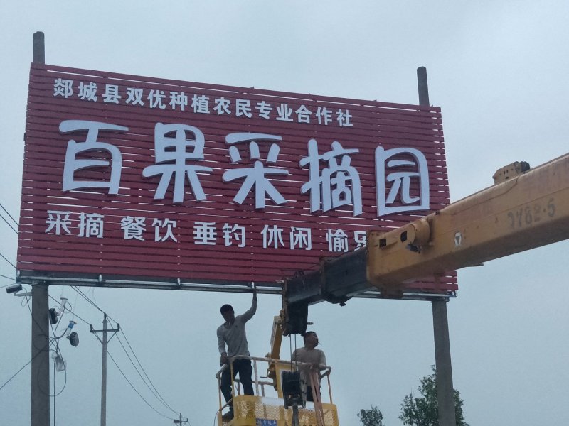 火龙果苗