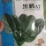 【耐热】黑鹏A7菠菜种子叶色纯黑色叶片厚实口感好