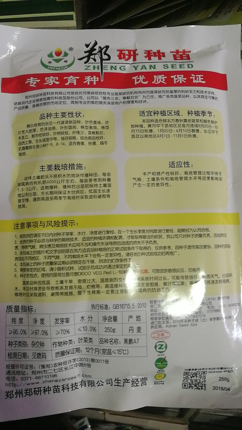【耐热】黑鹏A7菠菜种子叶色纯黑色叶片厚实口感好