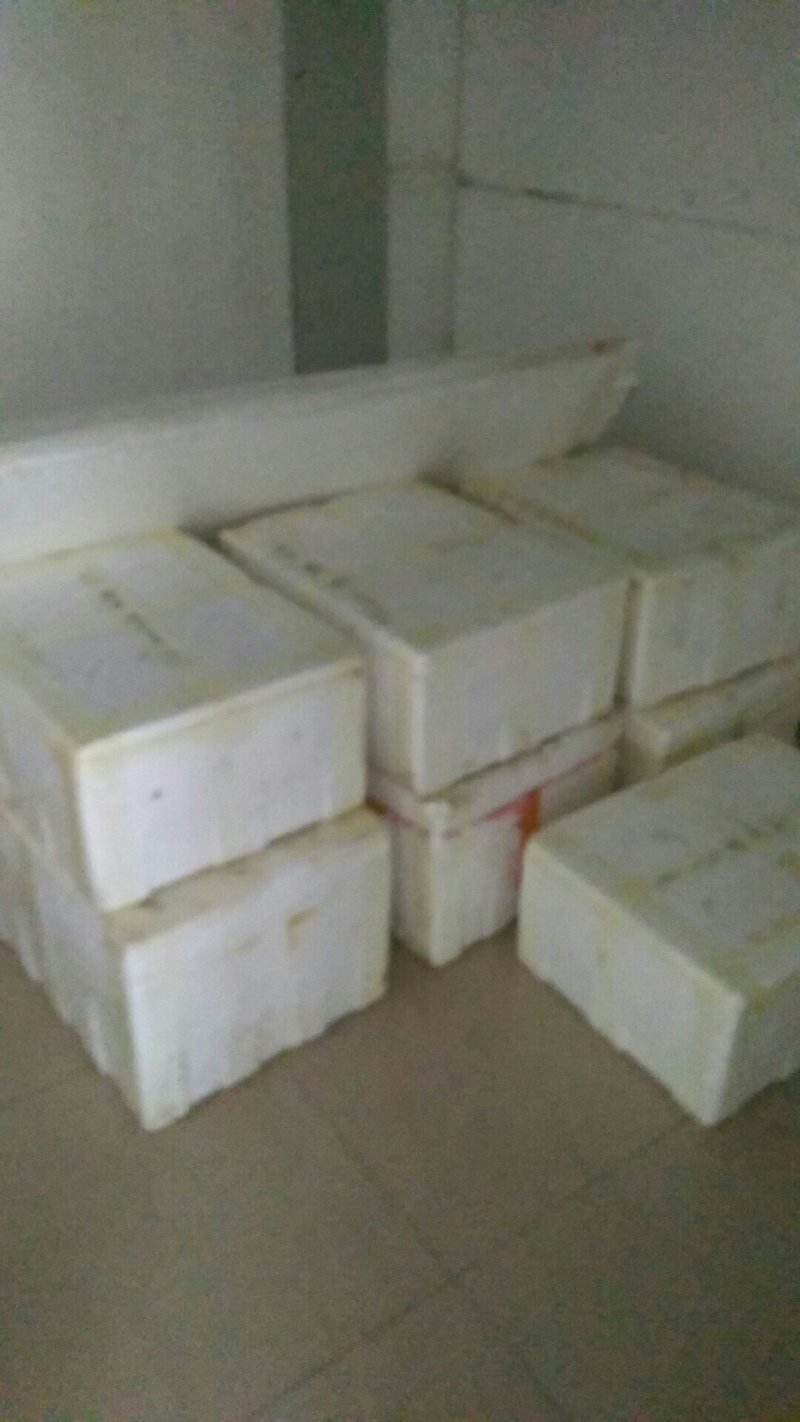生态养殖基地小龙虾