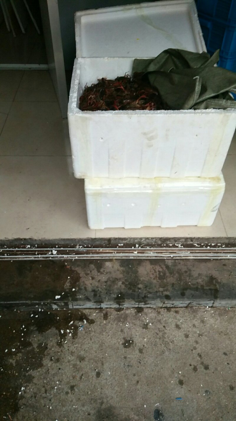 生态养殖基地小龙虾