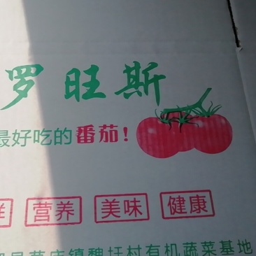 普罗旺斯番茄