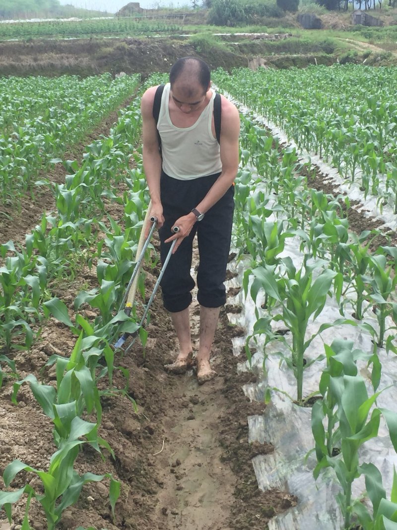 批发助力踏板配背包施肥器点肥机根部手动追肥器瓜果树苗开合