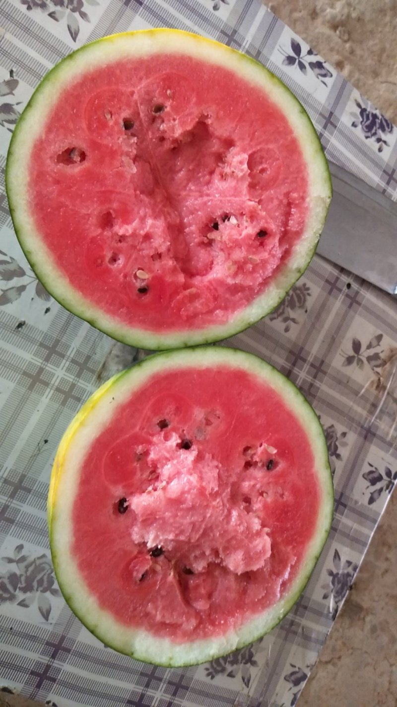 锦王西瓜