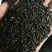 黑芝麻无硫干净无沙药用~食用一公斤起包邮