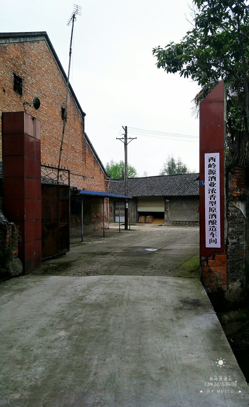 西岭源酒业，出售酒糟每天200吨，寻找长期