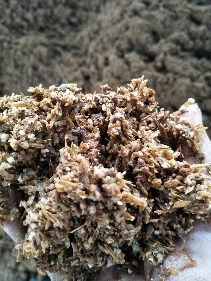 西岭源酒业，出售酒糟每天200吨，寻找长期