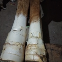 长期出售原生态特产野生棕树芯，多种吃法，有药用功效
