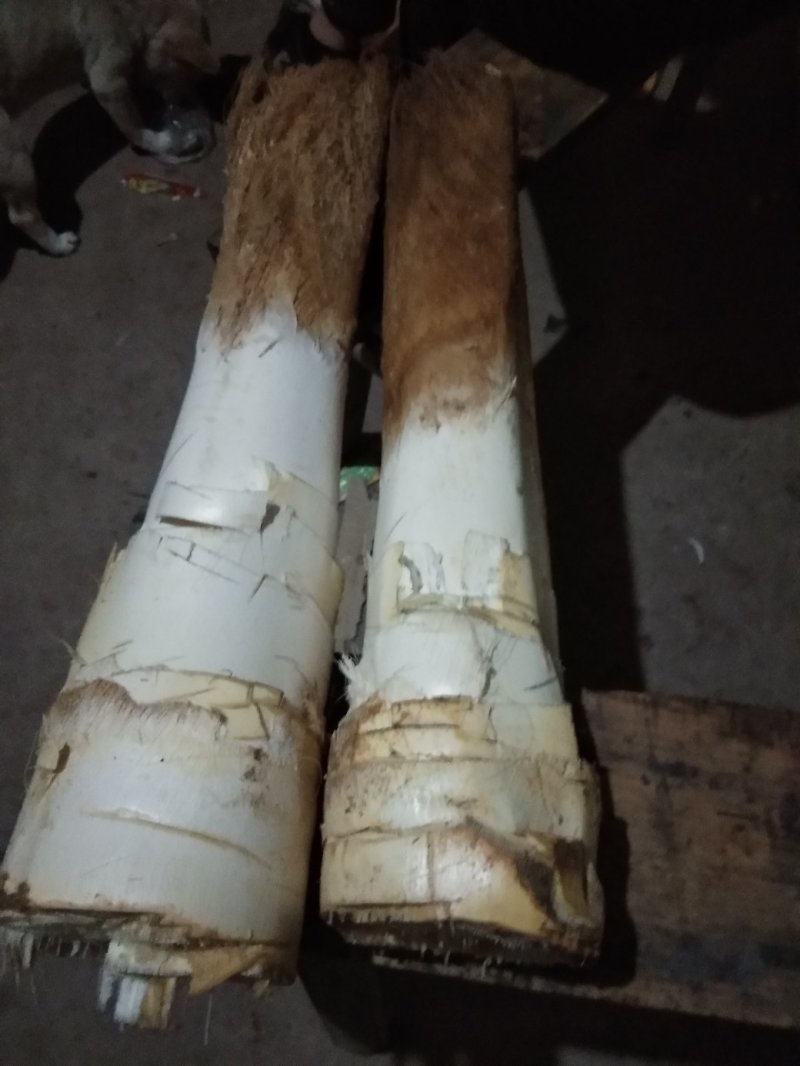 长期出售原生态特产野生棕树芯，多种吃法，有药用功效