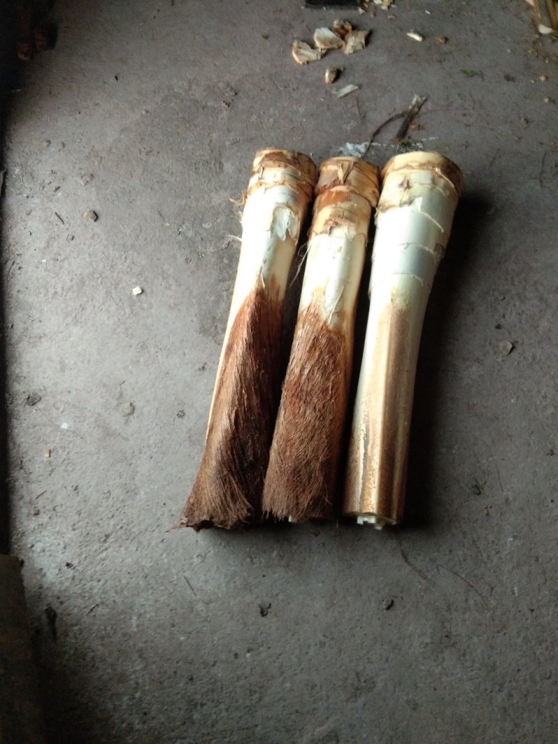 长期出售原生态特产野生棕树芯，多种吃法，有药用功效