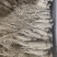 人参新货带须白参无硫产地直销1000g起批