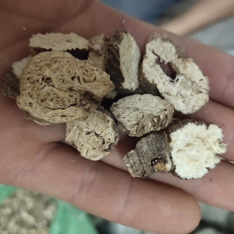 南沙参无硫新货片关书药业批发中药材