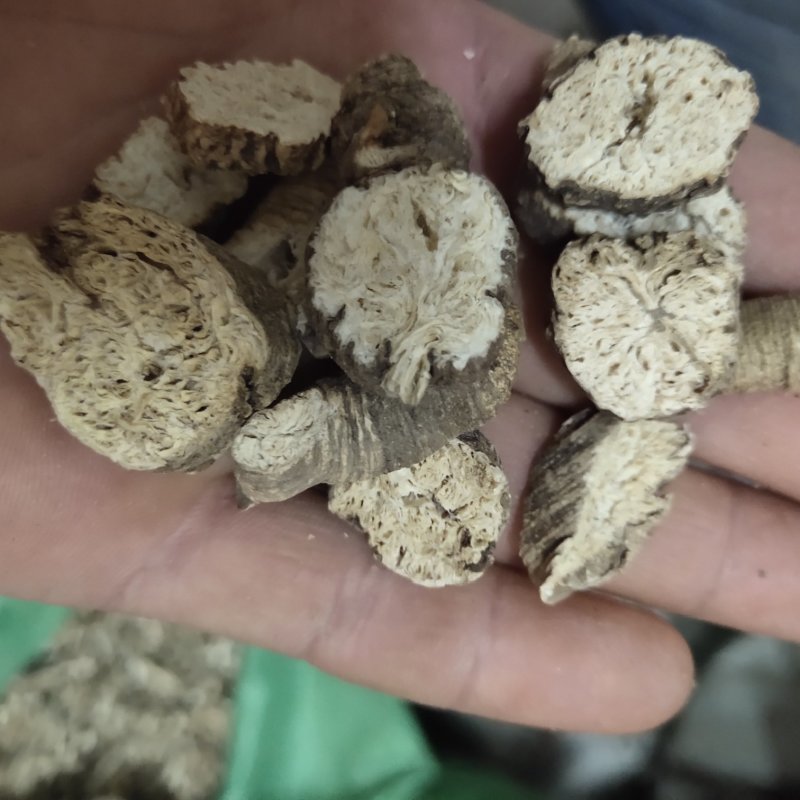 南沙参无硫新货片关书药业批发中药材