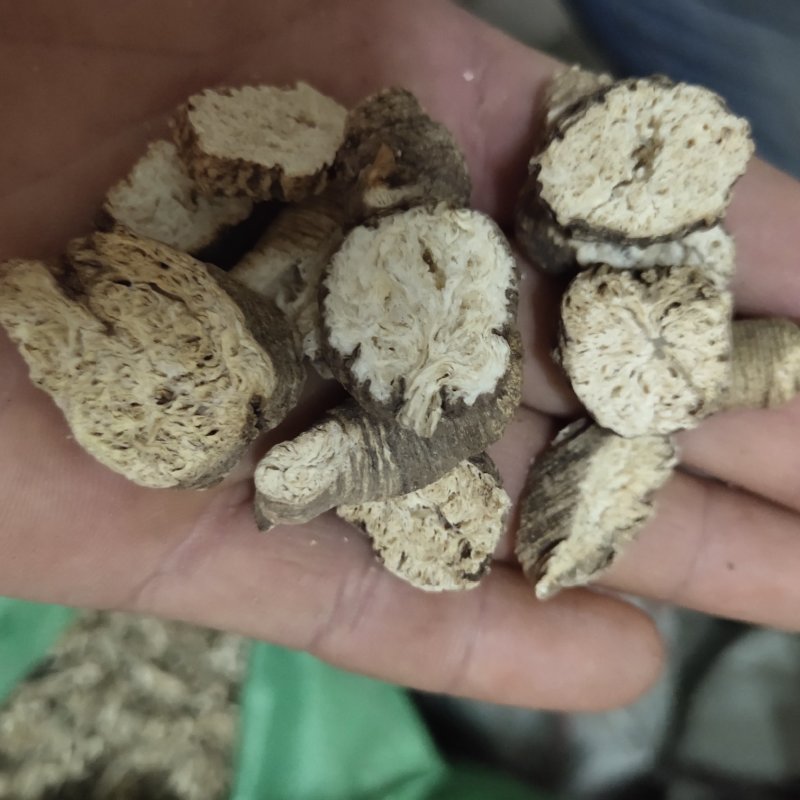 南沙参无硫新货片关书药业批发中药材