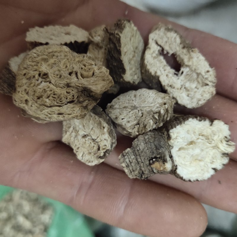 南沙参无硫新货片关书药业批发中药材